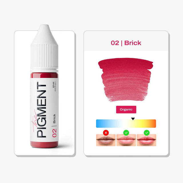 The Pigment Labios PMU - 02 Brick (15ml)