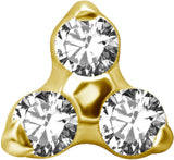 GD TT int TRINITY ATTACHMENT