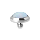 TT int OPAL FLAT DISC