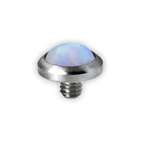 TT int OPAL FLAT DISC